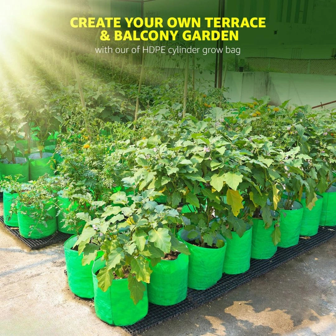 Premium HDPE Uv Protected Green Colour Plants Grow Bags
