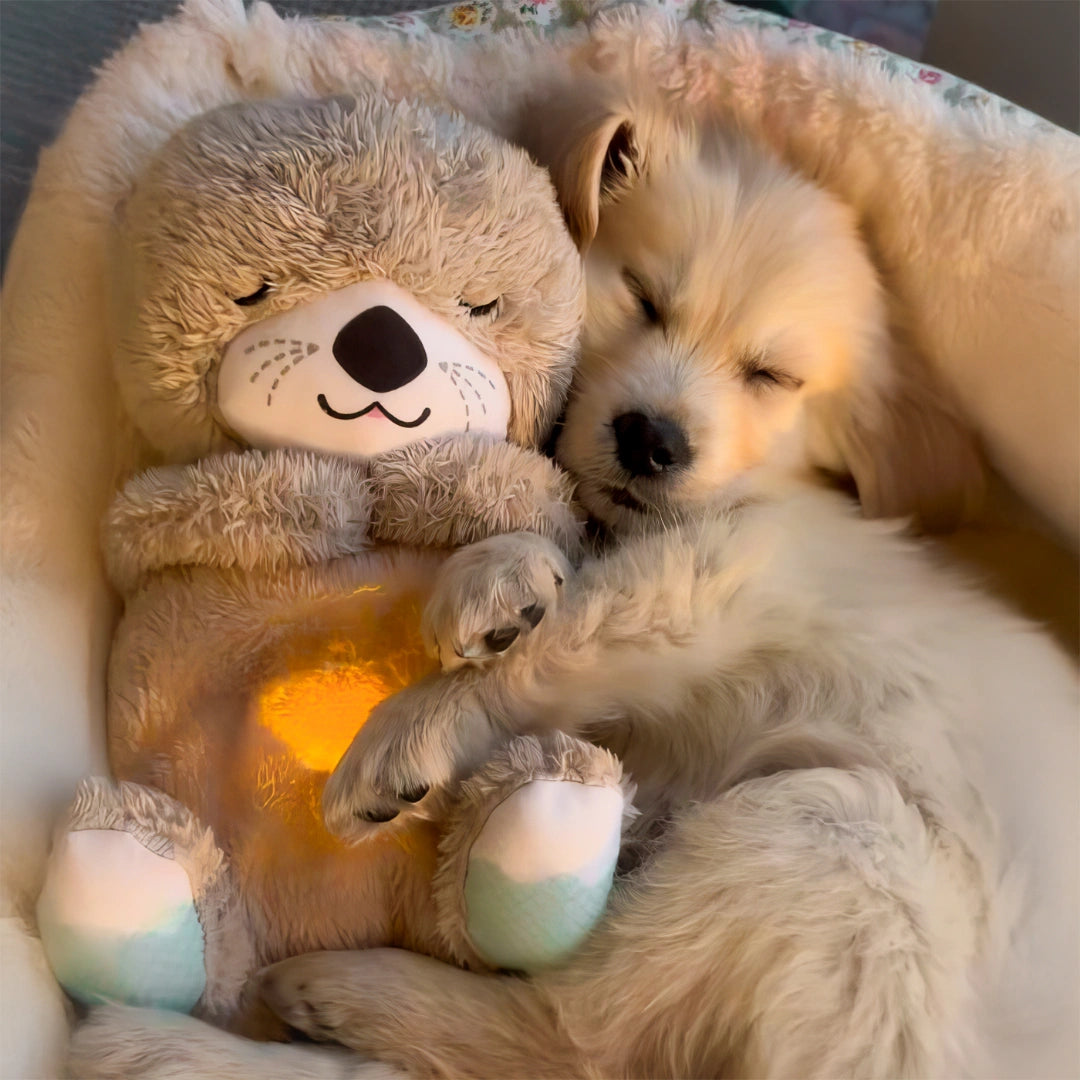 Cute Breathing Teddy Bear With Melodies