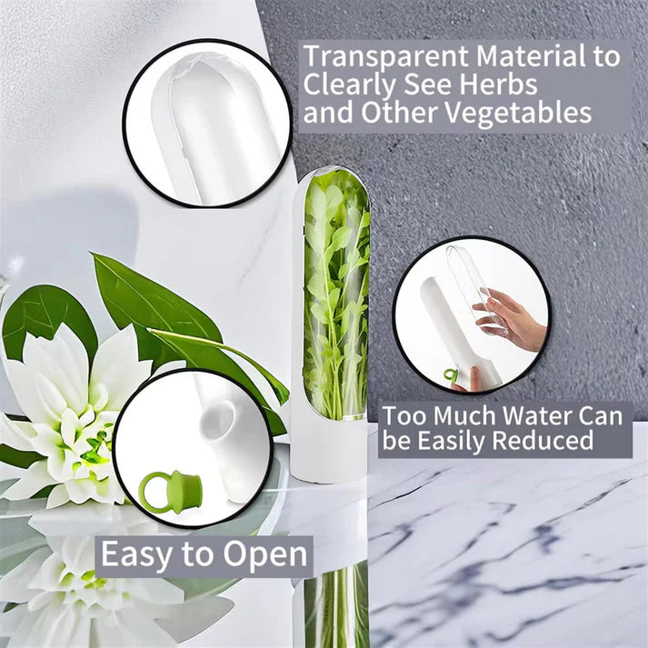 Fresh Herb Saver Container Refrigerator. (Set of 2)