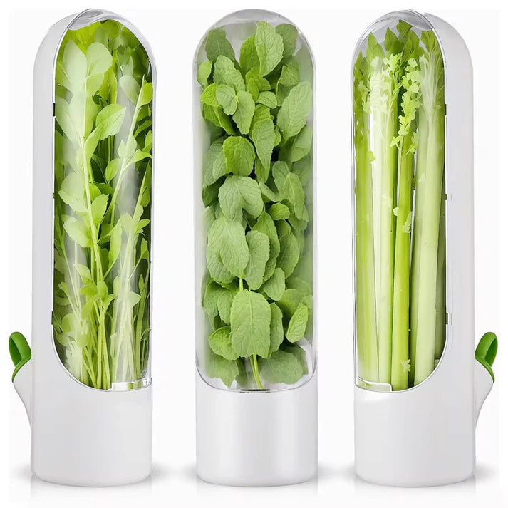 Fresh Herb Saver Container Refrigerator. (Set of 2)