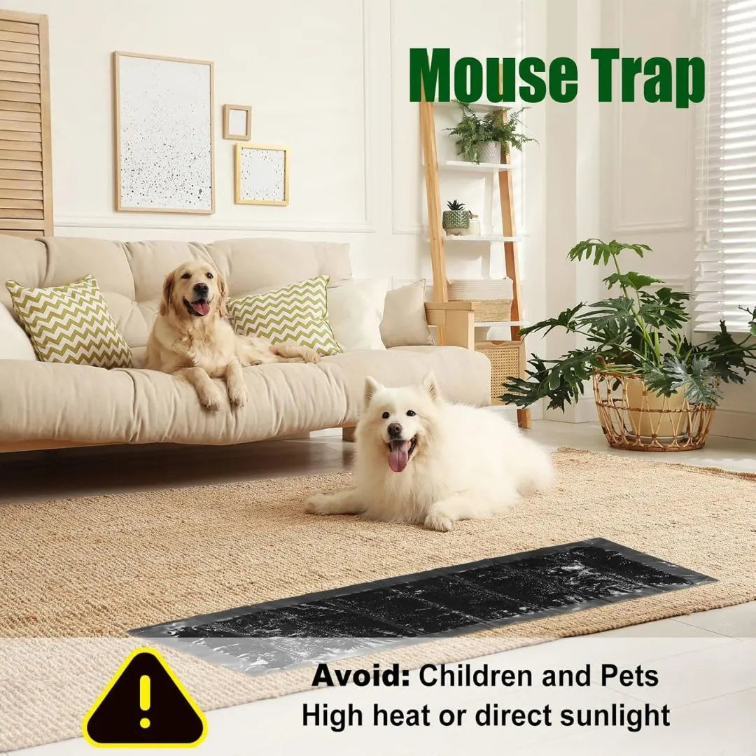 Usage cautions: keep away from children, pets, heat and sunlight