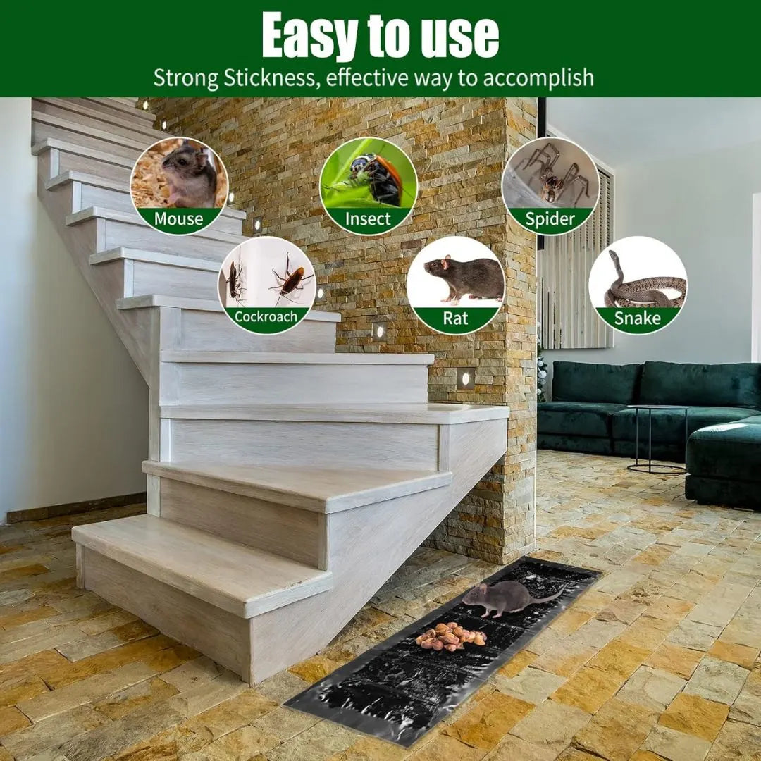 Large sticky mouse trap glue board