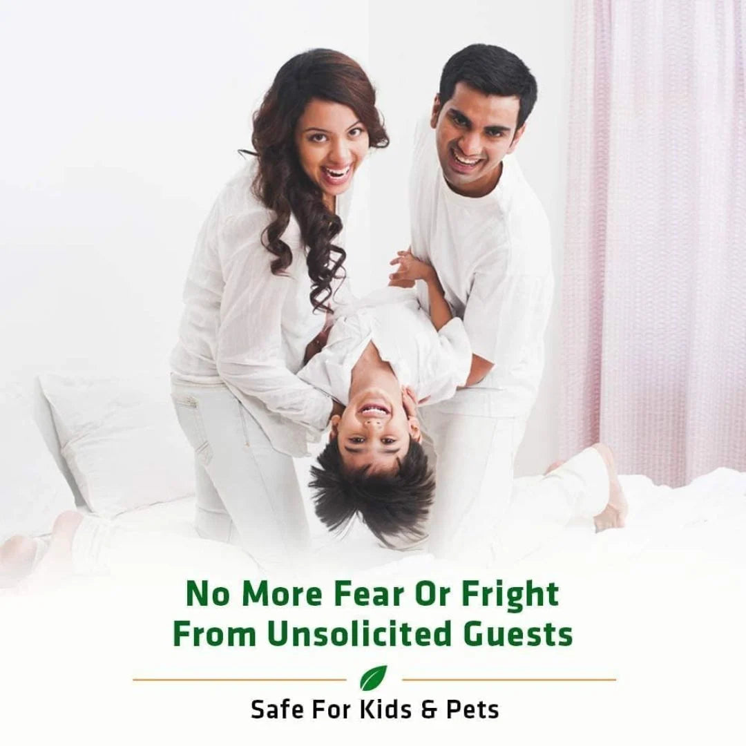 Lizard repellent spray product details and ingredients