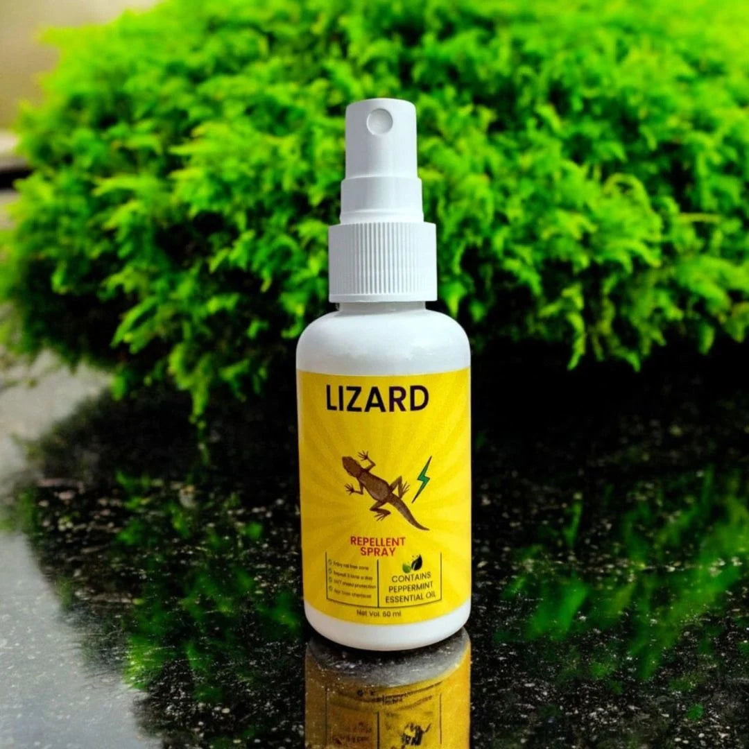 Lizard Repellent Spray (Buy 1 Get 1 Free)