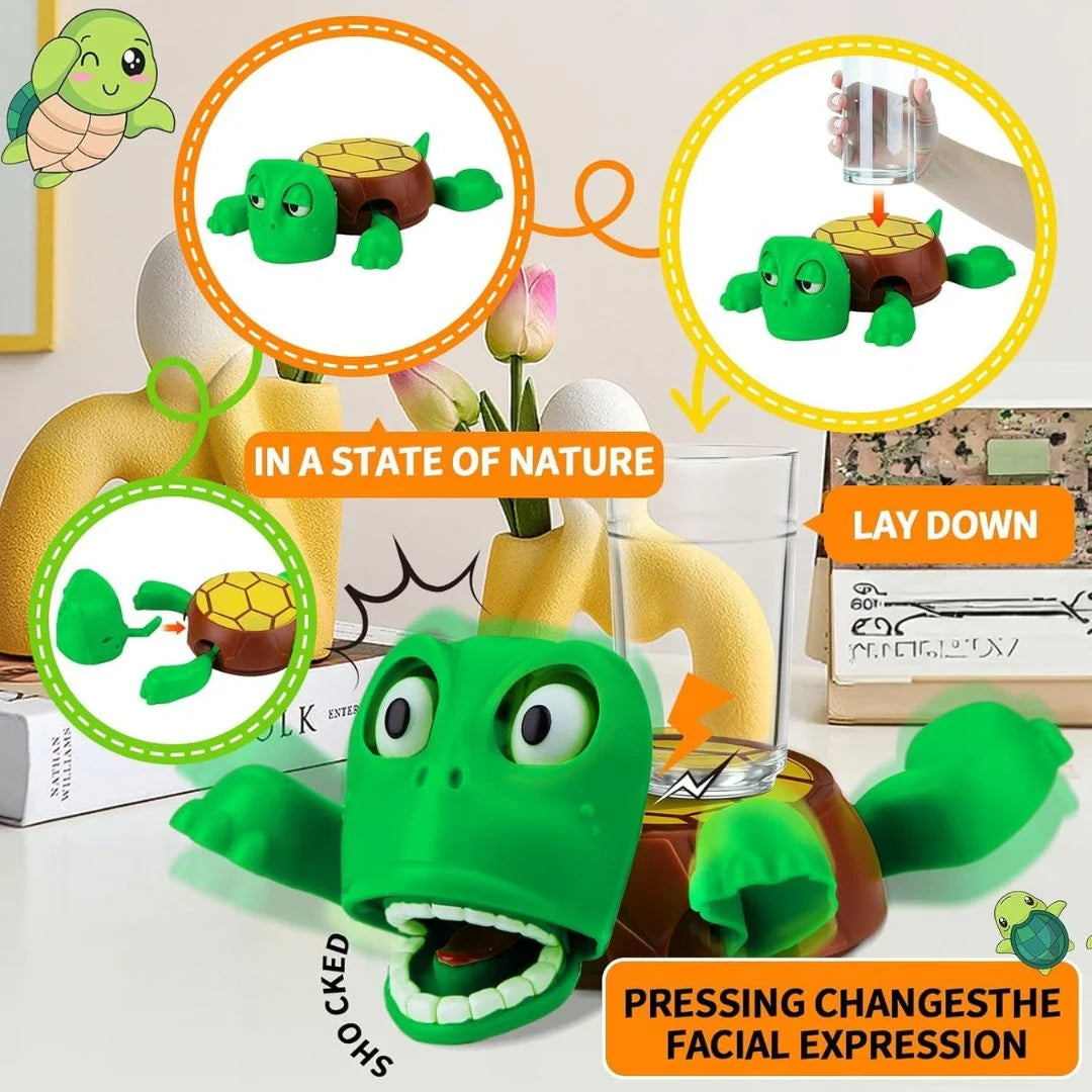 Turtle Coaster for Desk and Home