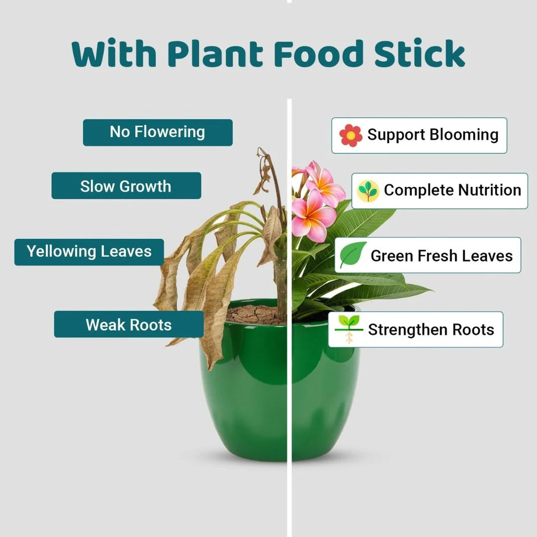 Plant Food Sticks